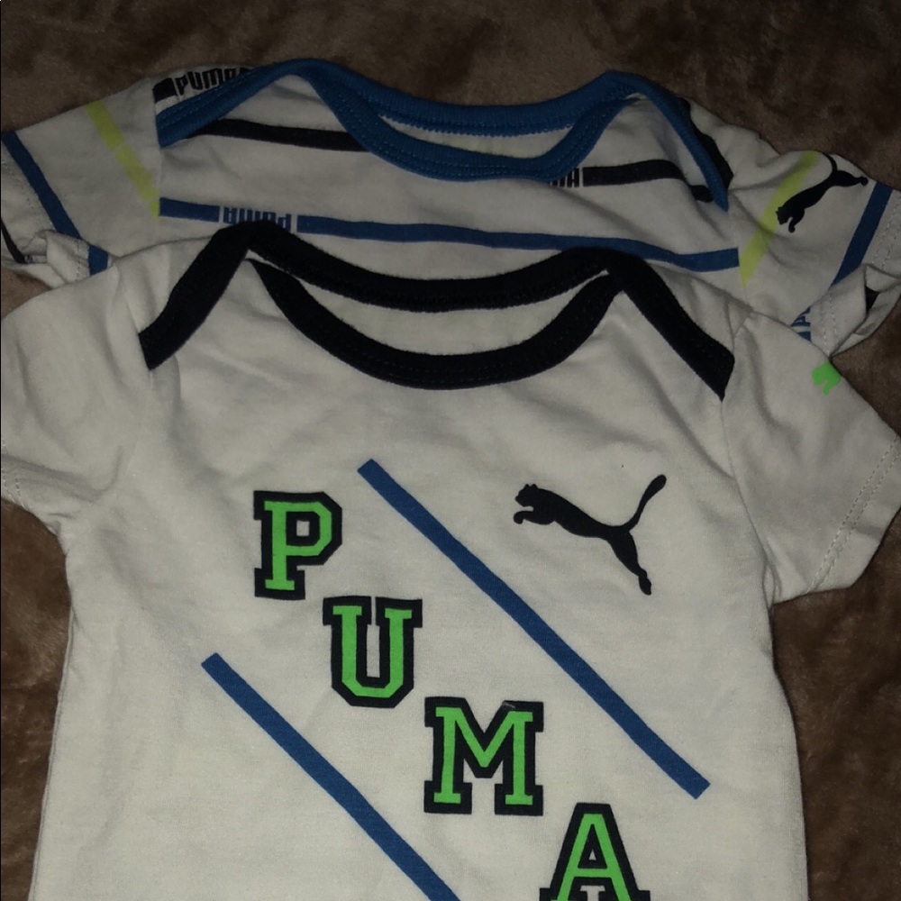 Puma baby